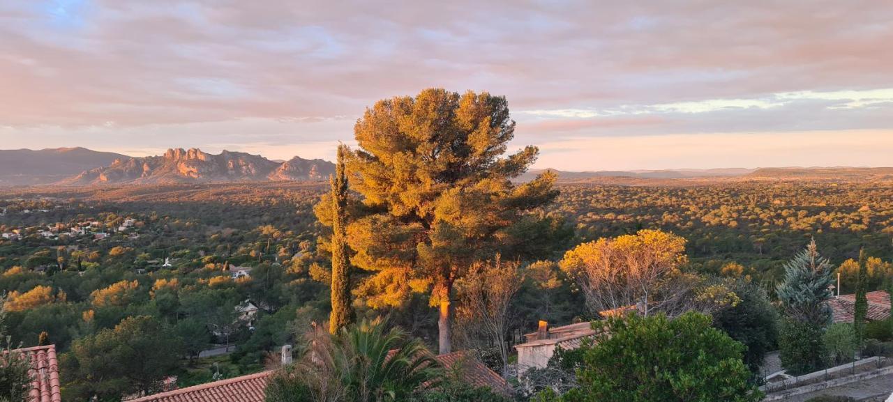 Corniche Du Paradis Roquebrune-sur Argens Dış mekan fotoğraf